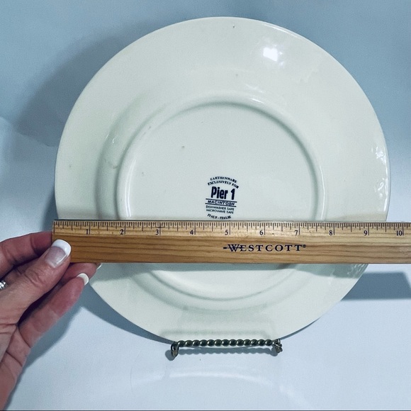 Pier 1 White Fruit stoneware Macintosh Apple dinner plate - Picture 2 of 5